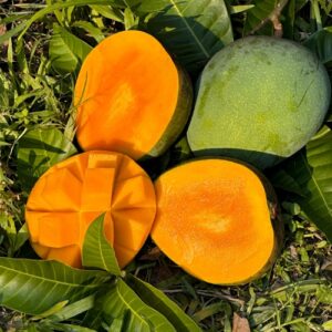সাতক্ষীরার সুস্বাদু গোবিন্দভোগ আম  (২০ কেজি)